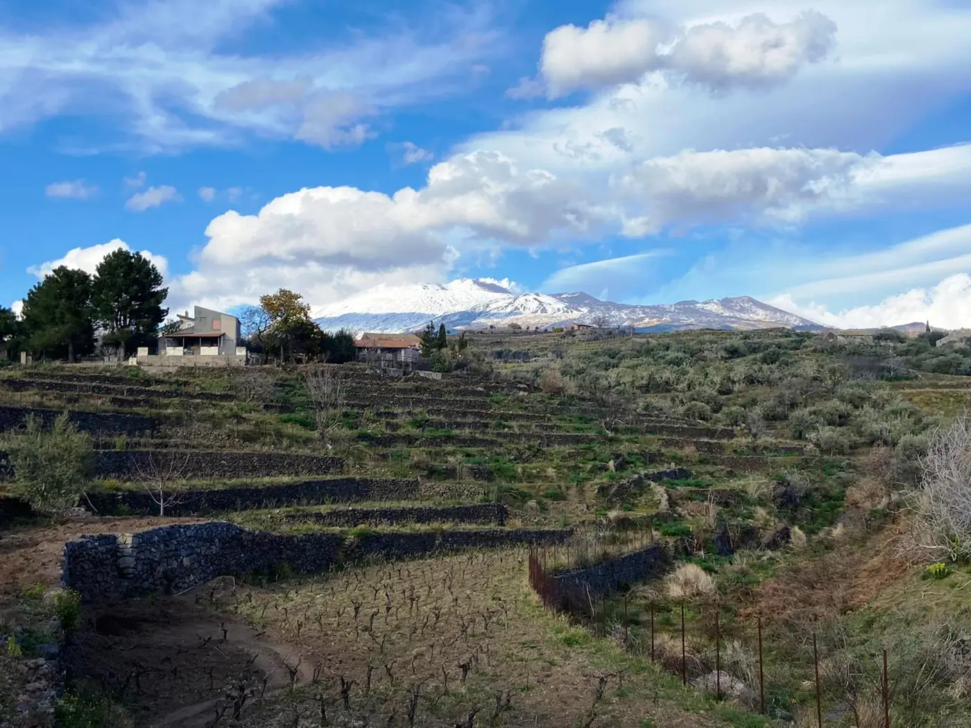 El suelo y los vinos del Etna