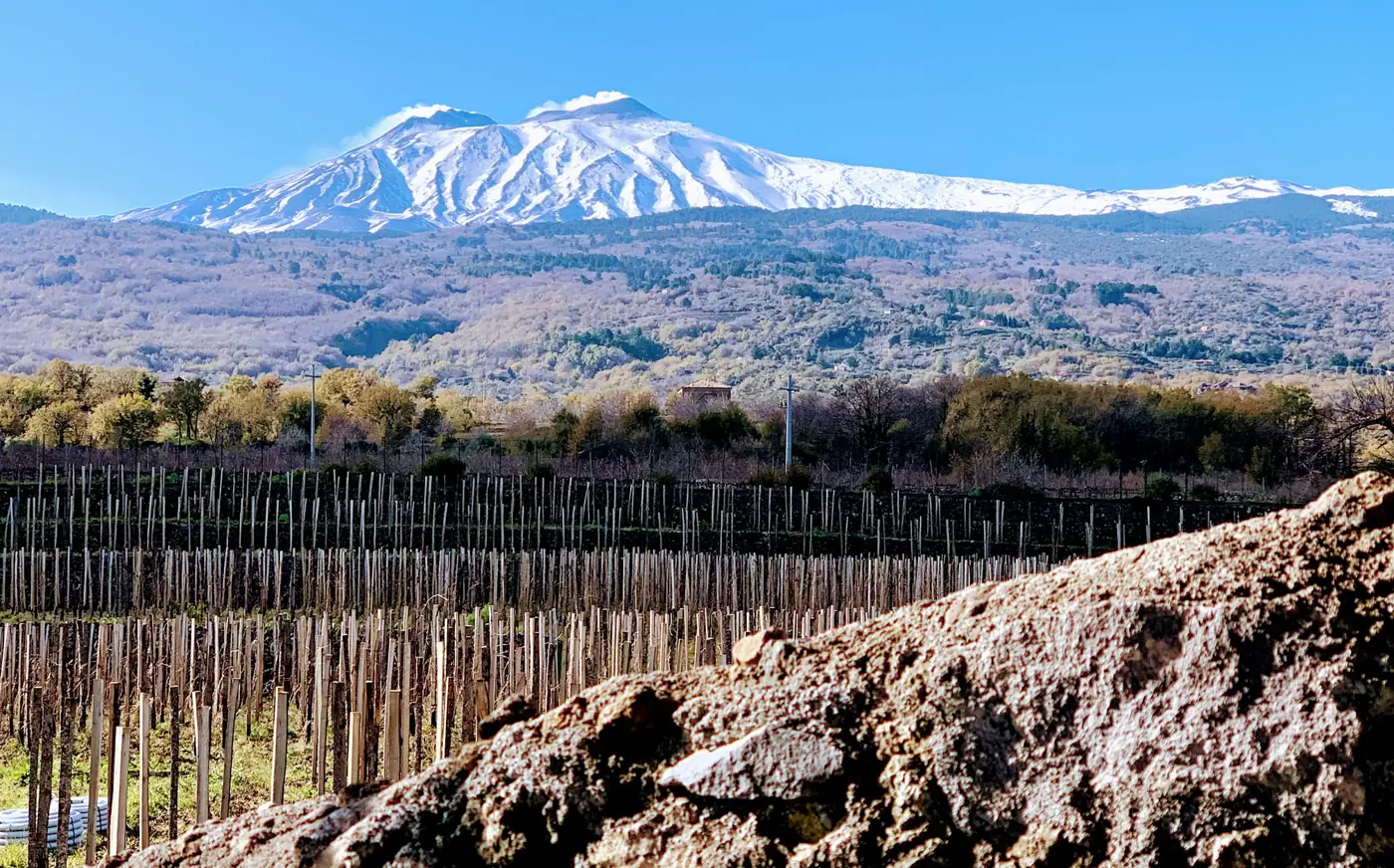La lava del Etna que acoge la vid