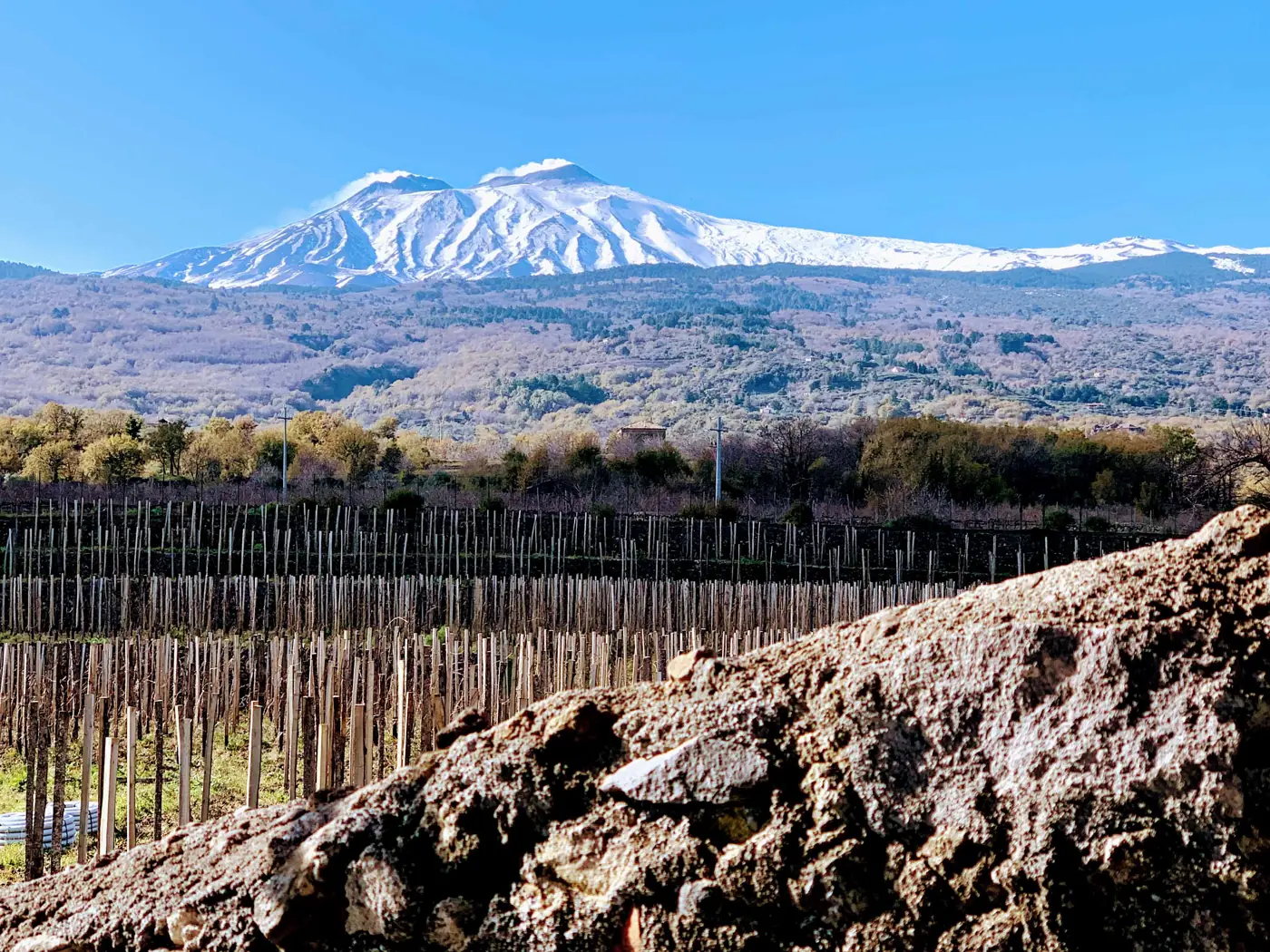 La pedogénesis de la lava del Etna