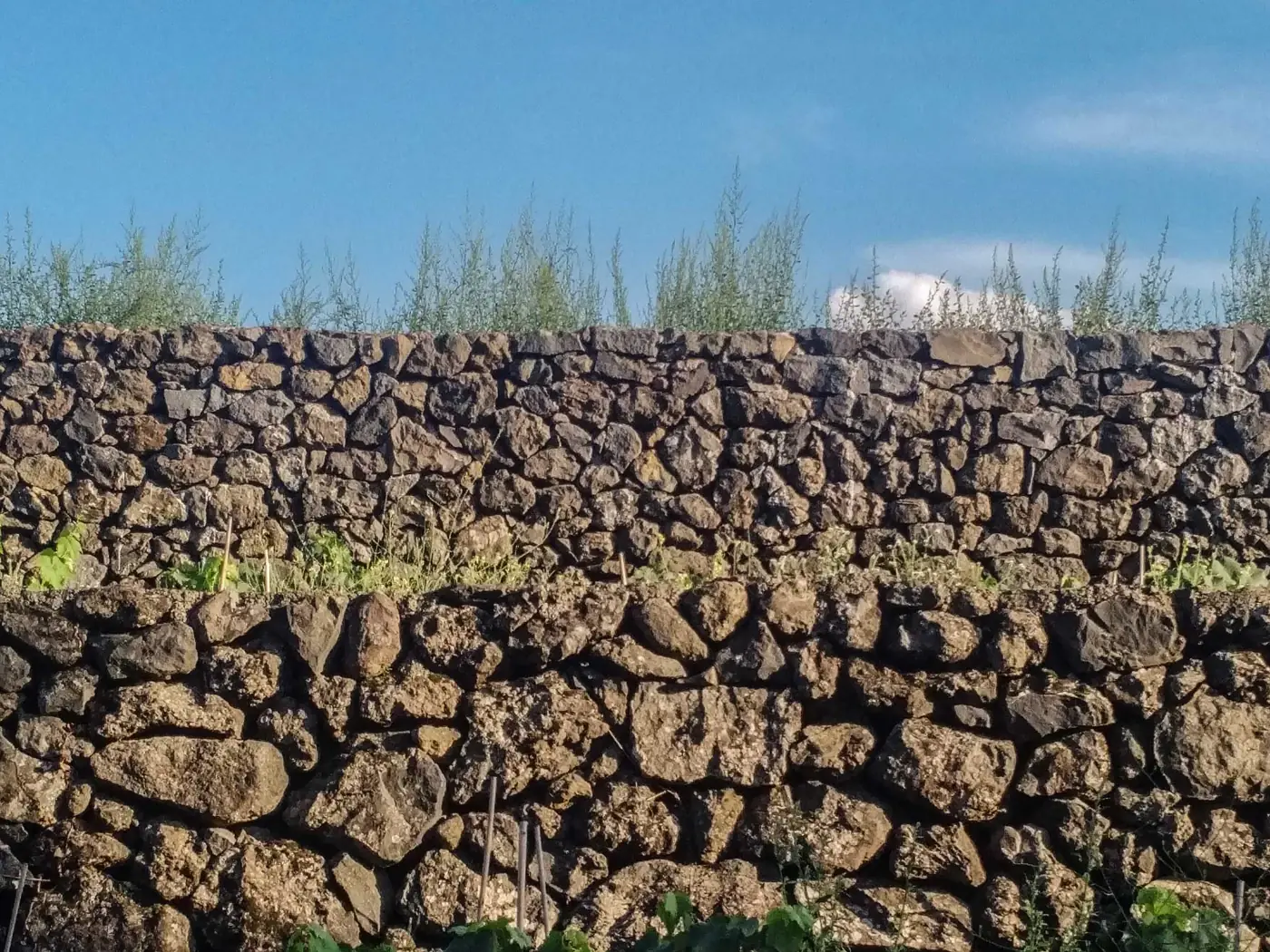 Las Terrazas del Etna