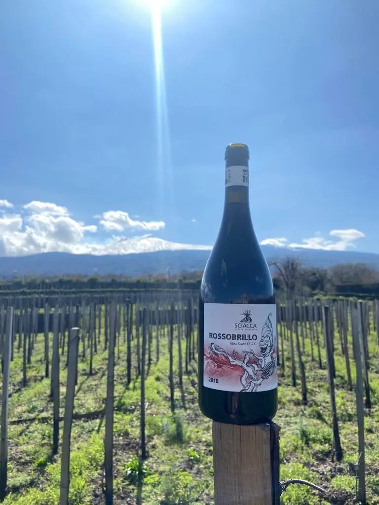 Los vinos del Etna. Breve viaje para descubrir los vinos del volcán mas bello del mundo