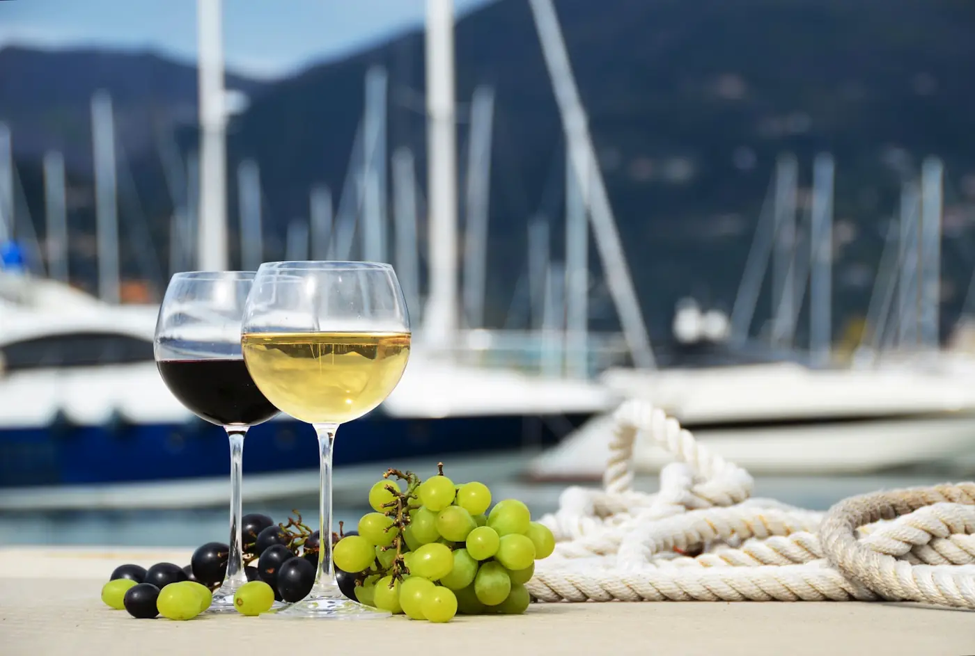 Degustazione in Barca a Vela con il produttore