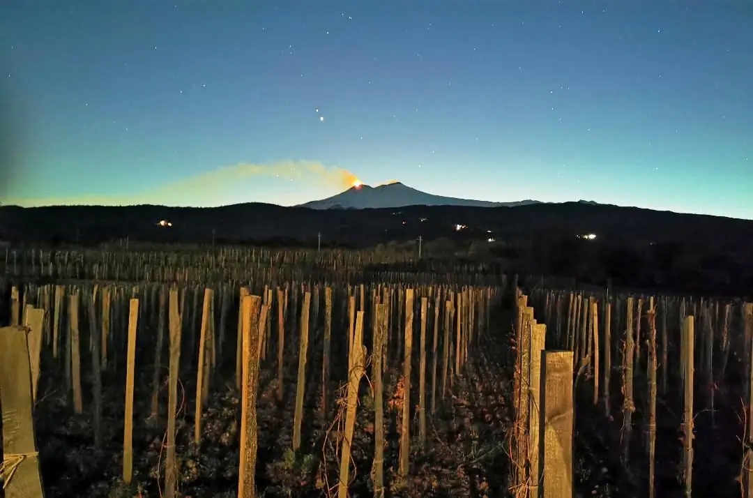 Etna Wine Aperitif and Tasting at Sunset