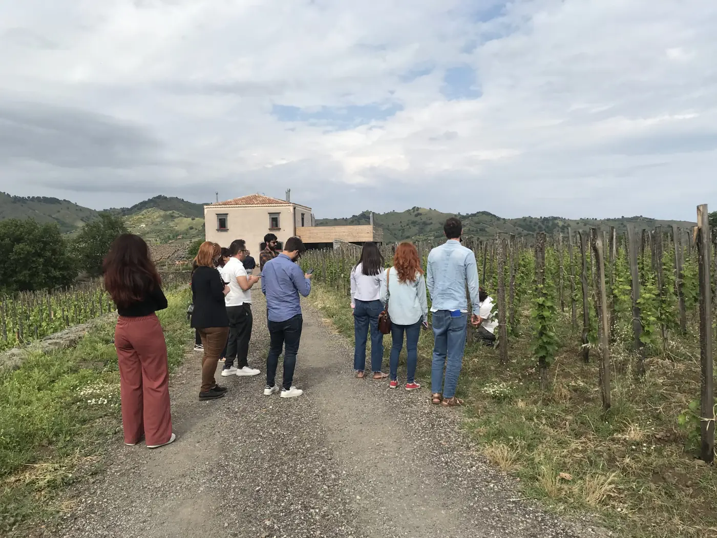 Degustación de vino Etna con bocadillo típico