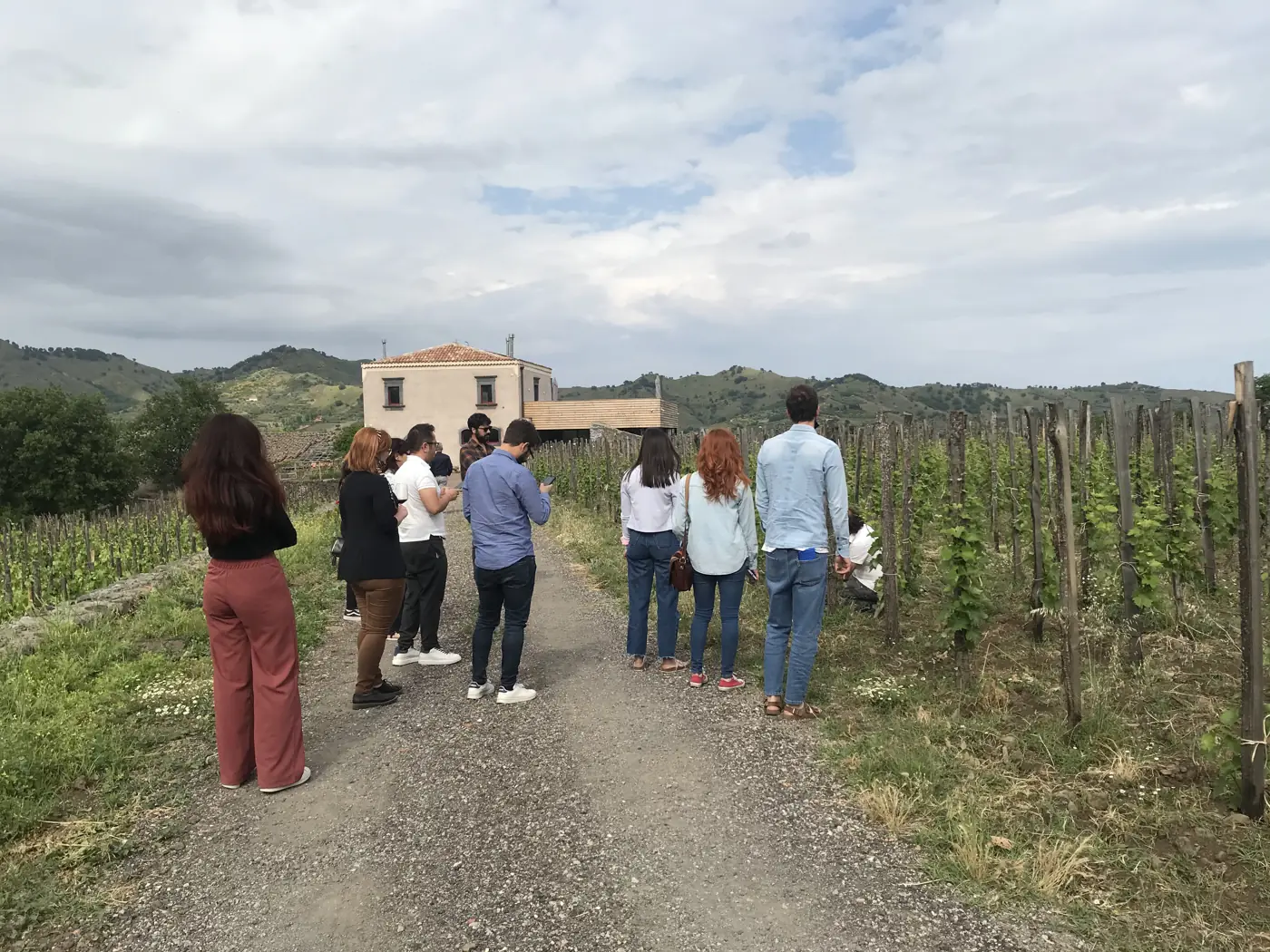 Food and wine tour Around the Volcano